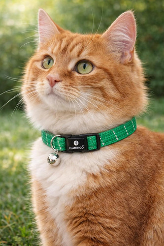 Katzenhalsband elza grün - -,