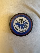 Eishockey Puck