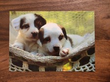 Hundepostkarte aus Finnland ? PERSON JACK RUSSELL TERRIER ? AK HUND 