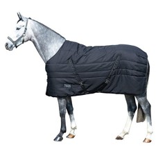 EQuest Stalldecke Ottawa für