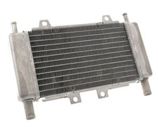 Kühler Motoforce Racing für