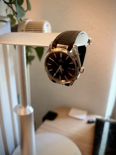 Omega seamaster aqua terra - omega,
