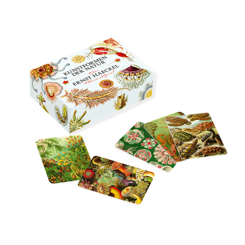 Das ernst haeckel memo spiel - das, ernst-haeckel-memo-spiel
