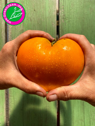 Heart gold 10 - of,