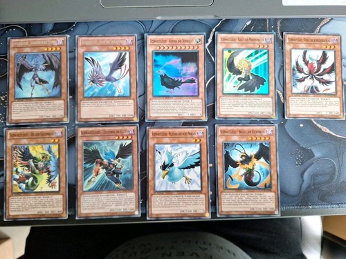 Schwarzflügel karten - yu-gi-oh,