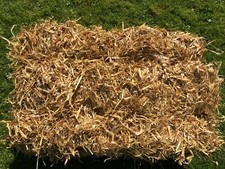 Gerstenstroh Strohballen 17kg