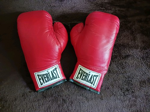 Everlast boxhandschuhe amateur - boxhandschuhe,