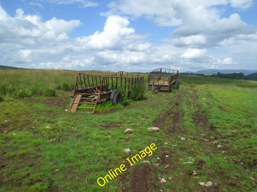 Foto 12x8 mobile silage - foto,