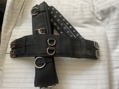 Longiergurt schwarz - schwarz,
