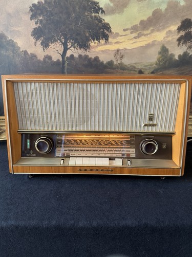 Grundig type 3165 - type,