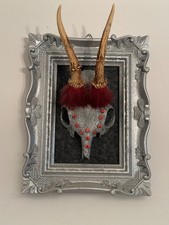 Reh Bock Gwichtl Geweih