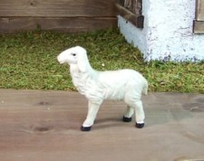 Schaf gerade schauend aus