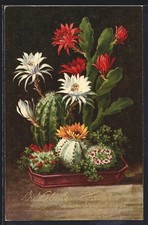 Ansichtskarte Blühende