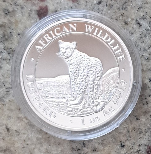 Silber somalia leopard - 1, oz