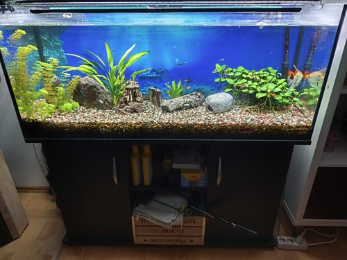 Aquarium komplett - aquarium,