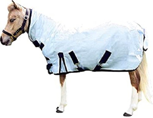 Neu mini shetland pony - neu, mini/shetland/pony