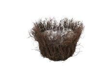 NaDeco Pflanzschale Mühlenbeckia / Weide  Ø 14cm H. 10cm, Blumentopf Pflanztopf 