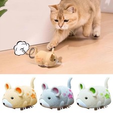 Fernbedienung Katzenspielzeug