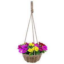 Blumen Ampel shabby natur mit