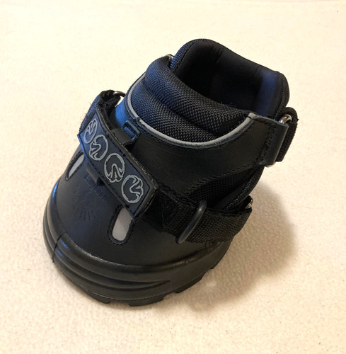 Easyboot transition horse hoof - transition,