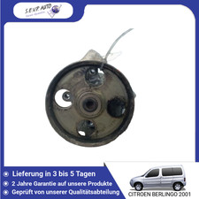 🇩🇪 SERVOLENKUNGSPUMPE