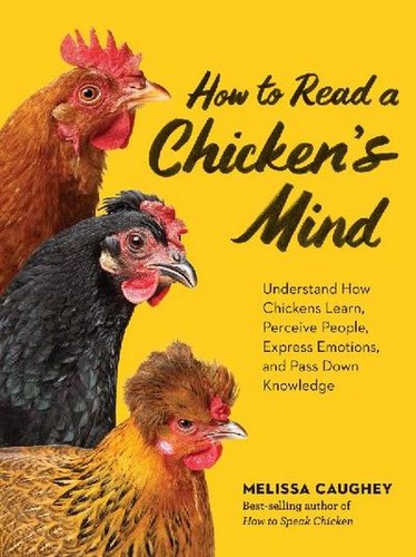 How read chicken s mind - a,