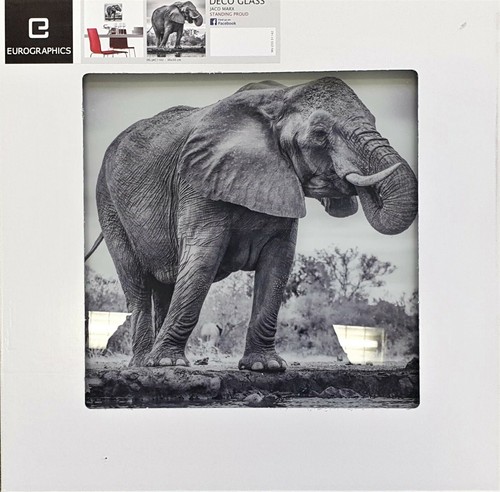 Eurographics glasbild 30x30cm - eurographics,