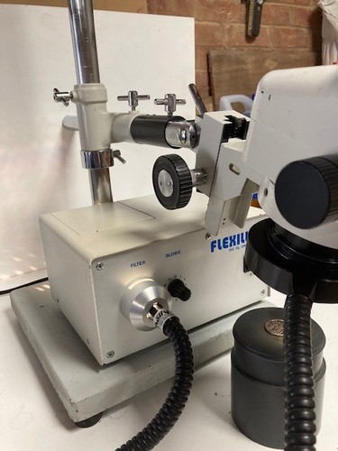 Euromex stereo zoom mikroskop - stereo,
