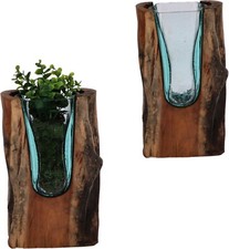 Glas Vase auf Wurzelholz –