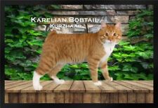 Fußmatte Schmutzfangmatte Rassekatze Karelian Bobtail Kurzhaar F1225