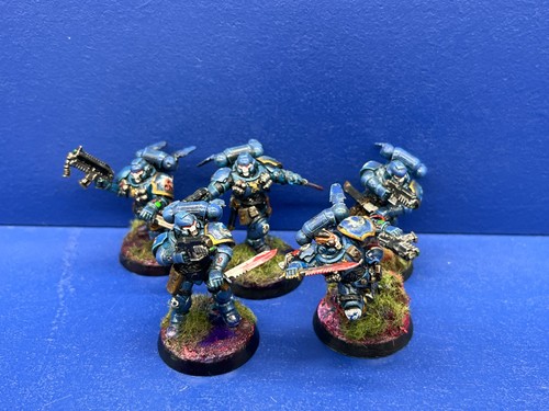 Primaris reivers der - primaris,