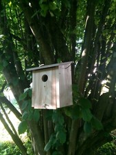 Meisenkobel Nistkasten Starenkasten Vogelhaus Reinigungsklappe fertig montiert