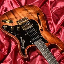 E-Gitarre Momose Modell MC-MV-HOLLOW Premium/HK