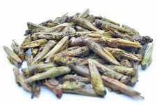 Grashüpfer (Heuschrecken) getrocknet  0,2 - 20 KG, Vögel, Hühner, Reptilien, Koi