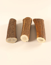 Hirschhornstück Horn