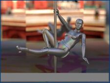 Edelstahl Tanzstange 2,5 - 3 m