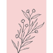 Blush Pink Pflanze Blumen