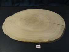 Eiche, Baumscheibe, massiv