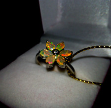 Zeitlos Schöner Regenbogen