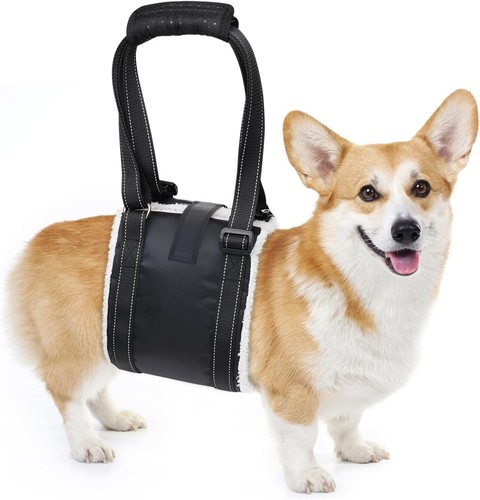 Hunde tragehilfe mit - tragehilfe,