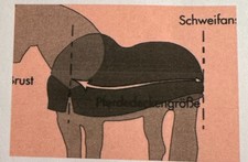 Nikken Pferdedecke NEU