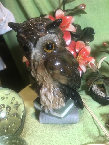 Rauchverzehrer eule auf - rauchverzehrer,