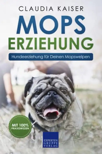 Mops erziehung hundeerziehung - mops, erziehung: