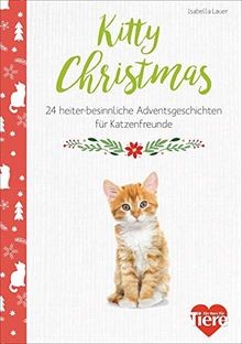 Kitty christmas 24 - kitty, christmas.
