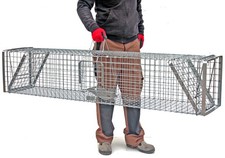 Fuchsfalle Waschbärfalle