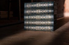 Shakespeare Gesammelte Werke komplett 1-22 Halbleder Edel geprägt