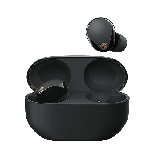 Sony 1000xm5 ear - wf-1000xm5,