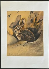👉 "Hase sitzt vor den Bau"