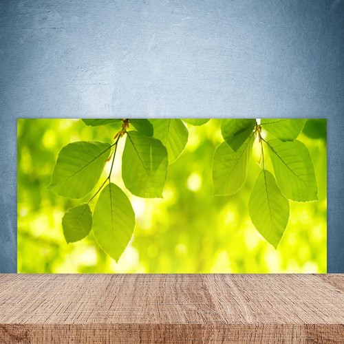 Küchenrückwand aus glas - küchenrückwand,