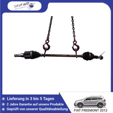 🇩🇪 RECHTE HINTERE